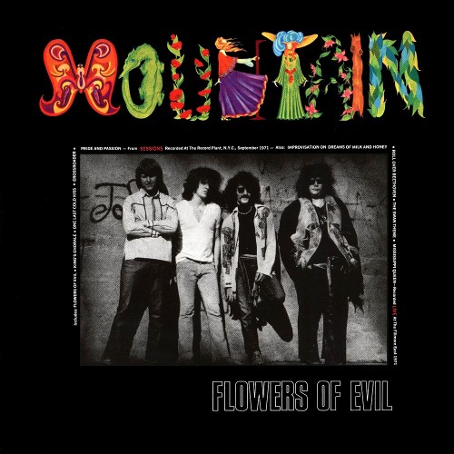 Mountain - 1971 Flowers of Evil